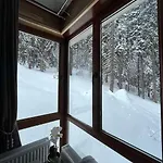 Elizi1winter * Pamporovo