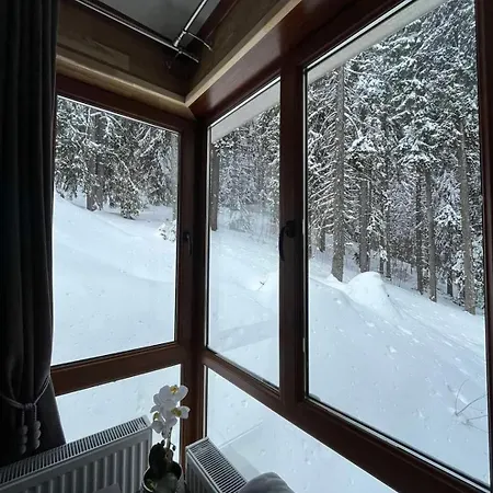 Elizi1winter * Pamporovo