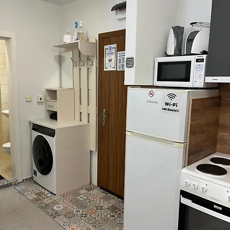 Elizi1winter 公寓 *