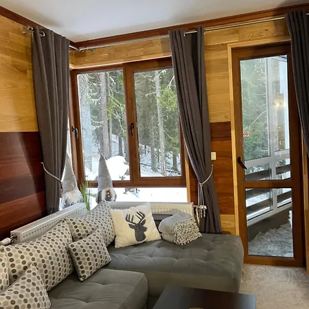 Elizi1winter 潘波洛沃