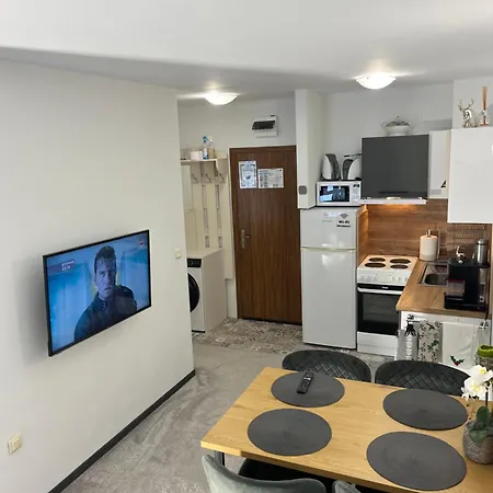 Elizi1winter 潘波洛沃