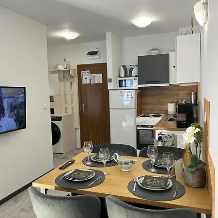 Elizi1winter 公寓 *