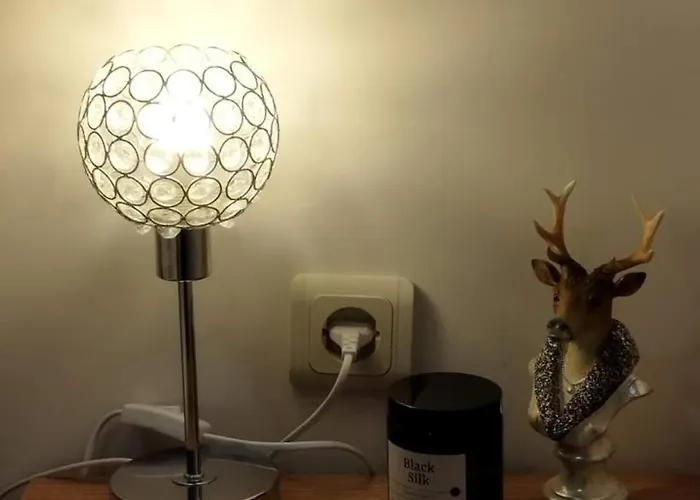 Elizi1winter 潘波洛沃