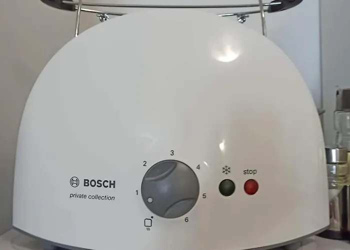 Elizi1winter 潘波洛沃