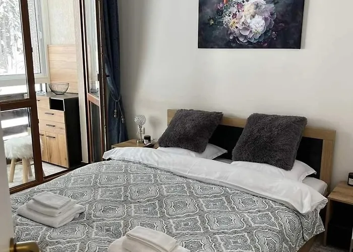 Elizi1winter 公寓 潘波洛沃