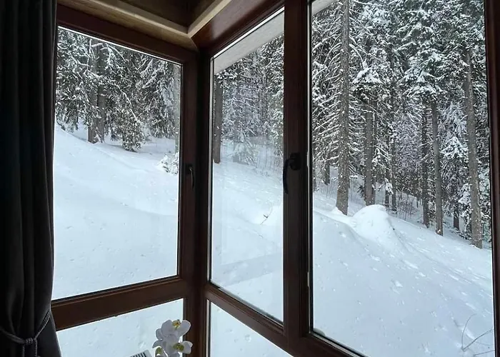 Elizi1winter * 潘波洛沃