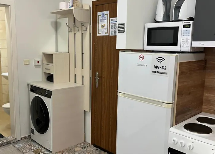 Elizi1winter 公寓 *