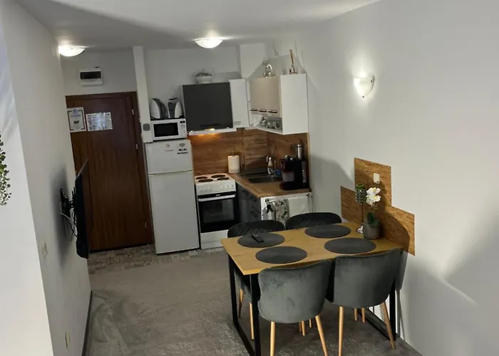 公寓 Elizi1winter 潘波洛沃