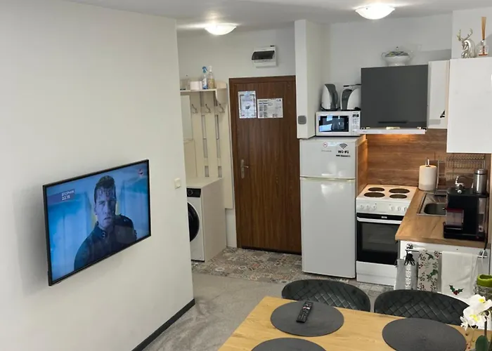 Elizi1winter 潘波洛沃